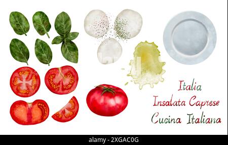 Aquarellillustration mit Zutaten für einen klassischen italienischen Caprese Salat Tomaten, Basilikum und Mozzarella. Isolierte Objekte auf weißem Hintergrund für die Gestaltung einer Broschüre, eines Flyers, eines E-Packs, eines Etiketts oder einer Werbung. Digitale Kunst im Aquarellstil. Stockfoto