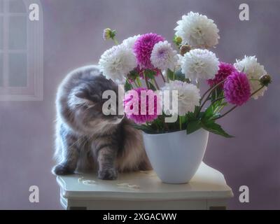 Strauß von Dahlienblumen und neugierigem Kätzchen Stockfoto