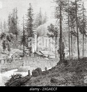 Mechanische Säge in einem riesigen Mammutbaumwald, Kalifornien. Vereinigte Staaten von Amerika, Zeichnung von Eustache Lorsay (1822–1871) Trip to California, 1859 von Louis Simonin (1830–1886) Le Tour du Monde 1862 Stockfoto