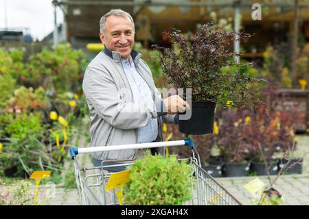 Kaukasischer Mann, der Sprossen im Gartencenter auswählt Stockfoto