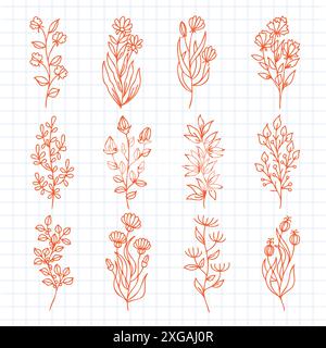 Sammlung von floralen und botanischen Elementen. Satz von Blättern, Laub Wildblumen, Pflanzen, Blüte, Blättern und Kräutern. Stock Vektor