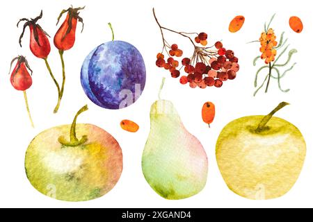 Aquarell Herbst Set mit Kürbissen, Zweigen, Beeren, Früchten, Blättern, Herbstset mit Elementen. Aquarellabbildung. Handgezeichnet, Herbstkompositio Stockfoto