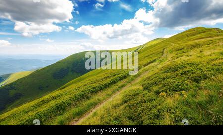 karpaten-Berglandschaft mit stoj-Gipfel. Trailrunning bergauf durch die Berglandschaft des Borzhava-Berges. Grashänge an einem sonnigen Sommertag. Popu Stockfoto