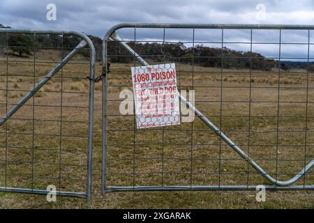 Yaouk, New South Wales, Australien, 8. Juli 2024; 1080 (Natriumfluoracetat) Giftköder Bekämpfung von Füchsen und Wildhunden Stockfoto