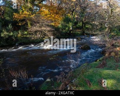 East Dart River und Herbstfarbe, in der Nähe von Dartmeet, Dartmoor National Park, Devon, England, Großbritannien, November 2020 Stockfoto