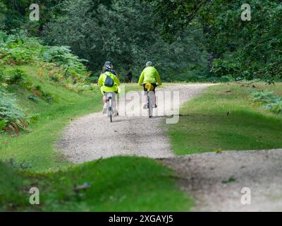 Radfahrer auf einer Strecke in Broomy Inclosure, nahe Linwood, New Forest National Park, Hampshire, England, Großbritannien, August 2021 Stockfoto