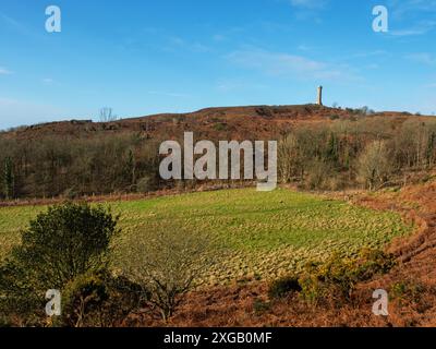 Hardy Monument on Black Down from the South Dorset Ridgeway, nahe Portesham, Dorset, England, Großbritannien, Februar 2022 Stockfoto
