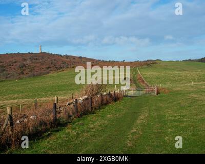 Hardy Monument on Black Down from the South Dorset Ridgeway, nahe Portesham, Dorset, England, Großbritannien, Februar 2022 Stockfoto