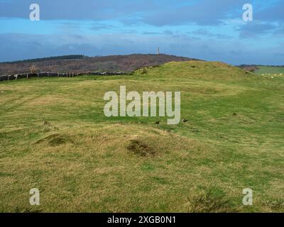 Alte Graben neben dem South Dorset Ridgeway mit dem Hardy Monument auf Black Down Beyond, nahe Portesham, Dorset, England, Großbritannien, Februar 2022 Stockfoto