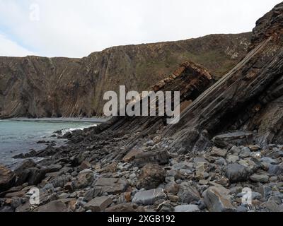 Küstenklippen und Faltfelsen, Hartland Quay, Hartland Peninsula, Devon, England, UK, Oktober 2022 Stockfoto