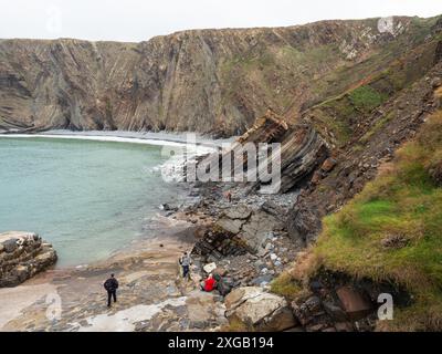 Touristen und Küstenklippen mit Falten in den Sedimentfelsen, Hartland Quay, Hartland Peninsula, Devon, England, UK, Oktober 2022 Stockfoto