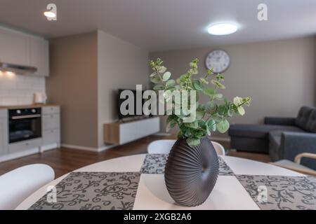 Verschwommenes modernes Wohnzimmer und Kücheneinrichtung. Luxuriöses, Stilvolles, Modernes Apartment. Open Space, Stilvolles Sofa, Weiße Möbel, Skandinavisches Desig Stockfoto