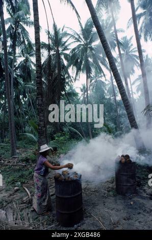 Kokosnussschalen, die bei der Ernte verbrannt werden, Insel Koh Samui, Thailand Stockfoto