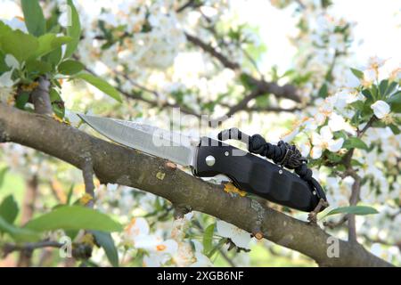 Klappmesser damaskus Schneiden rostfreier Klinge schwarzer Griff grüne Blätter weiße Blumen braunes Holz Stockfoto