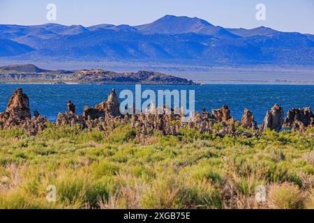 Dies ist ein Blick auf die Tufa-Felsformationen am Ufer des Mono Lake in der Nähe von Lee Vining, Mono County, Kalifornien, USA. Stockfoto