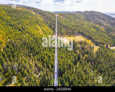 Ein Blick aus der Vogelperspektive auf die Sky Bridge aus dem Jahr 721 in Tschechien, die die lange, weiße Brücke durch einen dichten, grünen Wald zeigt. Man kann beobachten, wie man über die Brücke spaziert und die malerische Aussicht genießt. Stockfoto