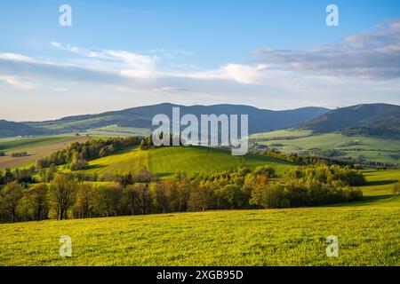 Ein Panoramablick auf sanfte grüne Hügel und bewaldete Hänge in den Kralicky Sneznik Bergen in Tschechien. Die Landschaft ist in das warme Licht eines klaren Nachmittags getaucht. Stockfoto