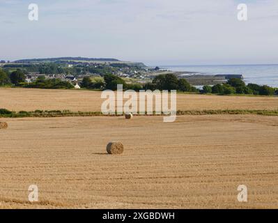 Strohgefüllte Felder mit Kautionen im Spätsommer auf dem Hügel über Shandwick Bay und Balintore, in dem sich der pictish Cadboll-Stein befindet Stockfoto