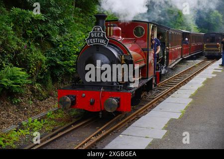 Tal y Llyn, Schmalspur, Dampfeisenbahn, Nr. 10, Nant Gwernol, Stockfoto