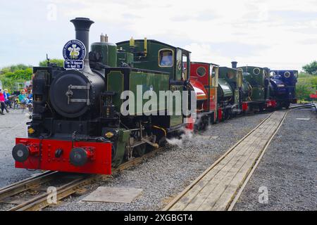 Nr. 7, Tom Rolt, Tal y Llyn, Schmalspurlokomotive, Dampflokomotive. Stockfoto