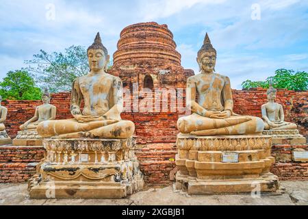 Die Linie der Statuen des sitzenden Buddha auf dem Gelände des antiken Wat Yai Chai Mongkhon Tempels in Ayutthaya, Thailand Stockfoto