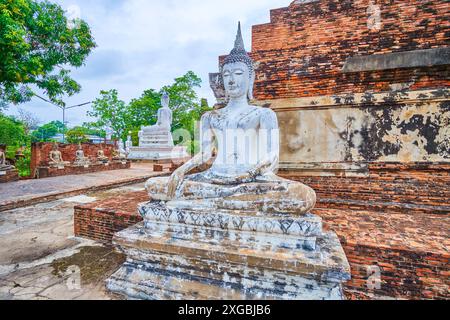 Die Statue des Buddha im antiken Tempelkomplex Wat Yai Chai Mongkhon, Ayutthaya, Thailand Stockfoto