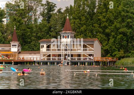 Berühmter Hevizsee in Ungarn in der Nähe des Balaton. Der größte Thermalsee der Welt zum Baden. Thermalwassersee im Sommer Stockfoto