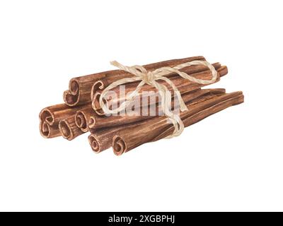 Ein Haufen aromatischer Zimtstangen, die mit Juteseil gebunden sind. Natürliches braunes Gewürz für Speisen und Getränke, für Wohnkultur. Aquarellabbildung. Stockfoto