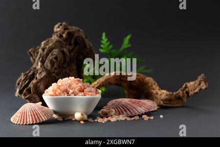 Rosafarbenes himalaya-Salz mit Schlangen, grünen Thuja-Zweigen und Muscheln. Himalaya-Salz in weißer Schüssel auf schwarzem Hintergrund. Kopierbereich. Stockfoto