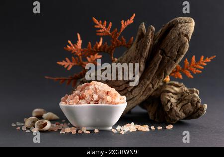 Rosafarbenes himalaya-Salz mit Schlingen, Thuja-Zweigen und Muscheln. Himalaya-Salz in weißer Schüssel auf schwarzem Hintergrund. Kopierbereich. Stockfoto