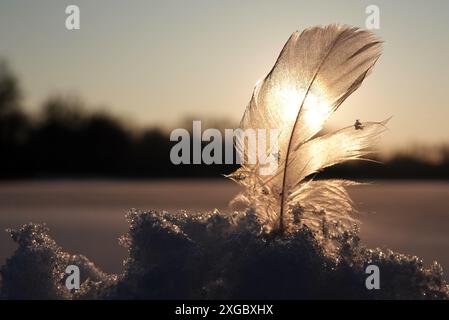 Goldene Stunde: Fangen Sie den Sonnenuntergang bei einem schönen Abendspaziergang in Valkenswaard ein Stockfoto