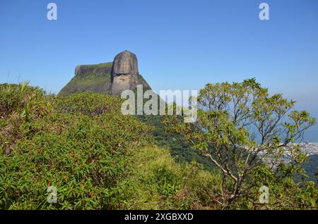 Weite Sicht auf den wunderschönen Pedra da Gávea (Gavea-Felsen) von einem Aussichtspunkt in Pedra Bonita (wunderschöner Stein) - Rio de Janeiro, Brasilien Stockfoto