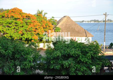 Blick von Mexixe, über Inhambane Bay, Inhambane, Mosambik. Gebäude umgeben von Flammenbäumen und anderen Bäumen. Kind, das im Vordergrund spielt. Stockfoto