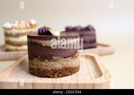 Verschiedene Mini-Kuchen der Saison. Haselnuss, Oper, gesalzenes Karamell und Doppelschokolade. Unendliche Vielfalt, einfaches Servieren, feuchte Schichten, reichhaltige Zuckerguss. Stockfoto