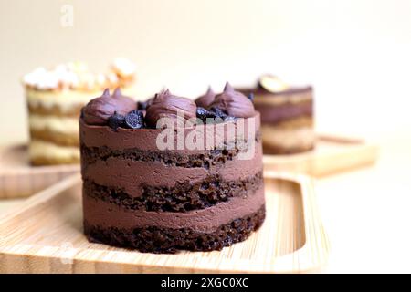 Verschiedene Mini-Kuchen der Saison. Haselnuss, Oper, gesalzenes Karamell und Doppelschokolade. Unendliche Vielfalt, einfaches Servieren, feuchte Schichten, reichhaltige Zuckerguss. Stockfoto