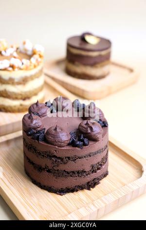 Verschiedene Mini-Kuchen der Saison. Haselnuss, Oper, gesalzenes Karamell und Doppelschokolade. Unendliche Vielfalt, einfaches Servieren, feuchte Schichten, reichhaltige Zuckerguss. Stockfoto