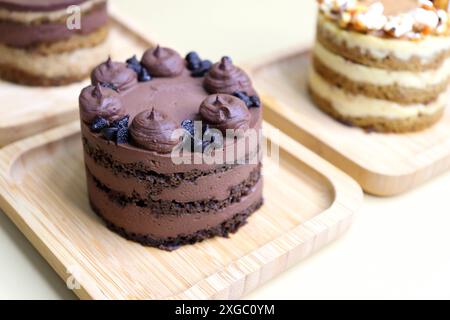 Verschiedene Mini-Kuchen der Saison. Haselnuss, Oper, gesalzenes Karamell und Doppelschokolade. Unendliche Vielfalt, einfaches Servieren, feuchte Schichten, reichhaltige Zuckerguss. Stockfoto