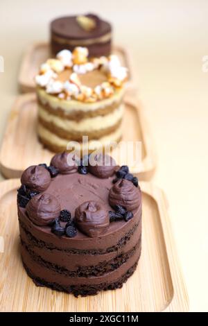 Verschiedene Mini-Kuchen der Saison. Haselnuss, Oper, gesalzenes Karamell und Doppelschokolade. Unendliche Vielfalt, einfaches Servieren, feuchte Schichten, reichhaltige Zuckerguss. Stockfoto