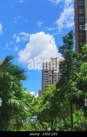 Eine ruhige urbane Szene zeigt einen üppigen grünen Vorgrund mit Palmen und Sträuchern. Shenzhen City. Stockfoto