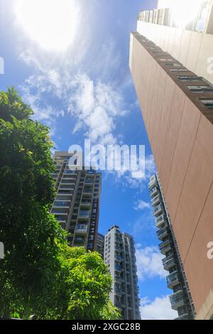 Eine ruhige urbane Szene zeigt einen üppigen grünen Vorgrund mit Palmen und Sträuchern. Shenzhen City. Stockfoto