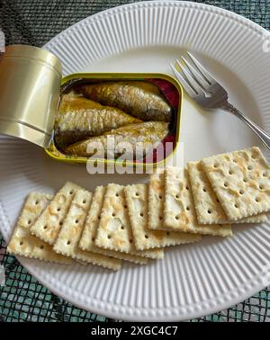 Comur Sardinendose aus dem Flagship Store am Times Square „The Fantastic World of the Portuguese Sardine“, New York City, USA, 2024 Stockfoto