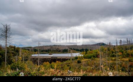 Dam des künstlichen Eckertaler Sees im Harz Stockfoto