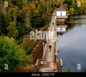 Dam des künstlichen Eckertaler Sees im Harz Stockfoto