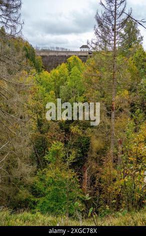 Dam des künstlichen Eckertaler Sees im Harz Stockfoto