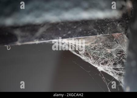 Nahaufnahme eines Spinnennetzes in einer Ecke mit Staub und Schmutz. Stockfoto