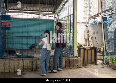 Besucher beobachten Pfauen in ihrem Käfig im Pata Zoo im Kaufhaus Pata Pinklao. Im März 2023, nach der Renovierung, wurde der neue Pata Zoo eröffnet, der eine Lernzone für spezielle exotische Haustiere hinzufügte, mit der Hoffnung, eine wichtige Touristenattraktion für die Menschen in der Stadt zu werden. Der PATA Zoo ist ein privater Zoo auf der 6. Und 7. Etage des Pata Pinklao Kaufhauses in Bangkok. Seit 1983 ist der Zoo wegen angeblicher unmenschlicher Behandlung seiner Tiere von thailändischen Tierschützern kritisiert worden. Stockfoto