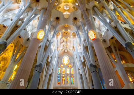 Espagne, Catalogne, Barcelone, Quartier de l'Eixample, cathédrale de la Sagrada Familia de l'architecte Antoni Gaudi classée Patrimoine Mondial de l'UNESCO Stockfoto