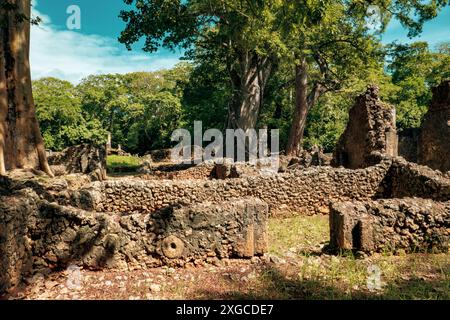 Ruinen von Gedi in der Stadt Gede - Eine mittelalterliche Swahili Küstensiedlung in Arabuko Sokoke Forest Reserves in Malindi, Kenia Stockfoto