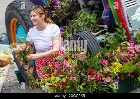 Harrogate, Großbritannien, 8. Juli 2024. 15 Blumenbauern aus allen Ecken von Yorkshire und dem Nordosten haben sich zusammengefunden, um lokal angebaute britische Blumen zu feiern. Vor der Eröffnung der ausverkauften Great Yoskhire Show 2024, die vom 9. Bis 12. Juli auf dem Yorkshire Showground in Harrogate, England, stattfindet, wird eine Blumenausstellung mit einem Vintage-Traktor abgeschlossen. Quelle: Thomas Holmes/Alamy Live News Stockfoto