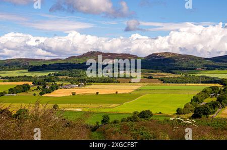 Dundee, Tayside, Schottland, Großbritannien. Juli 2024. Wetter in Großbritannien: Sonniges und bewölktes Sommerwetter mit wunderschönem Blick auf die Dundee Sidlaw Hills und Strathmore Valley, Schottland. Quelle: Dundee Photographics/Alamy Live News Stockfoto